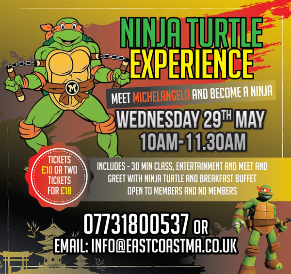 Ninja Turtle Experience