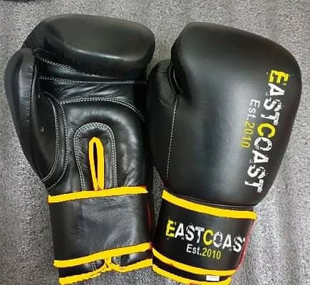 East Coast Boxing Gloves